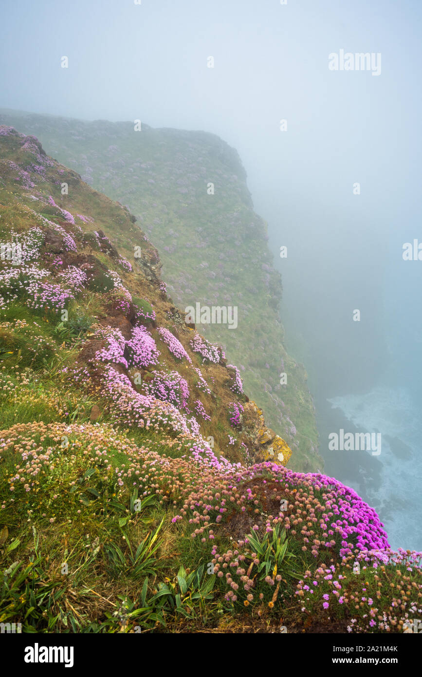 Bedruthan Steps an einem nebligen Tag, in der Nähe von Newquay, Cornwall, England, Großbritannien, Großbritannien. Stockfoto