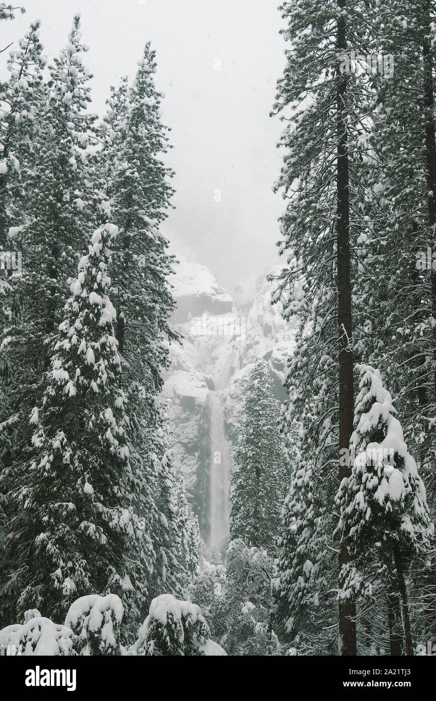 Bridalveil Fall in Yosemite National Park im Winter. Stockfoto