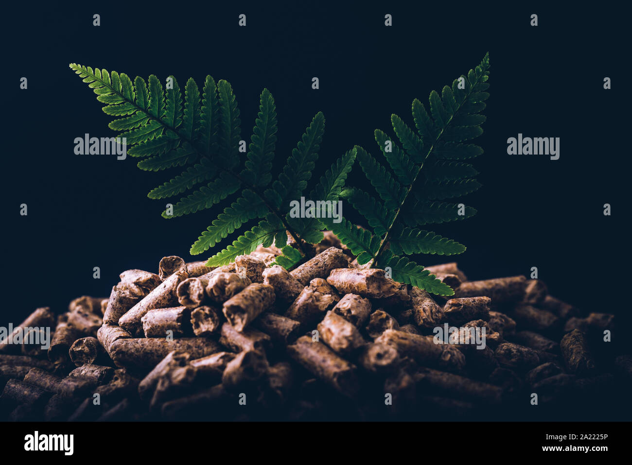 Natürliche Brennstoffpellets - grün Erneuerbare nachhaltige Wirtschaft. Stockfoto