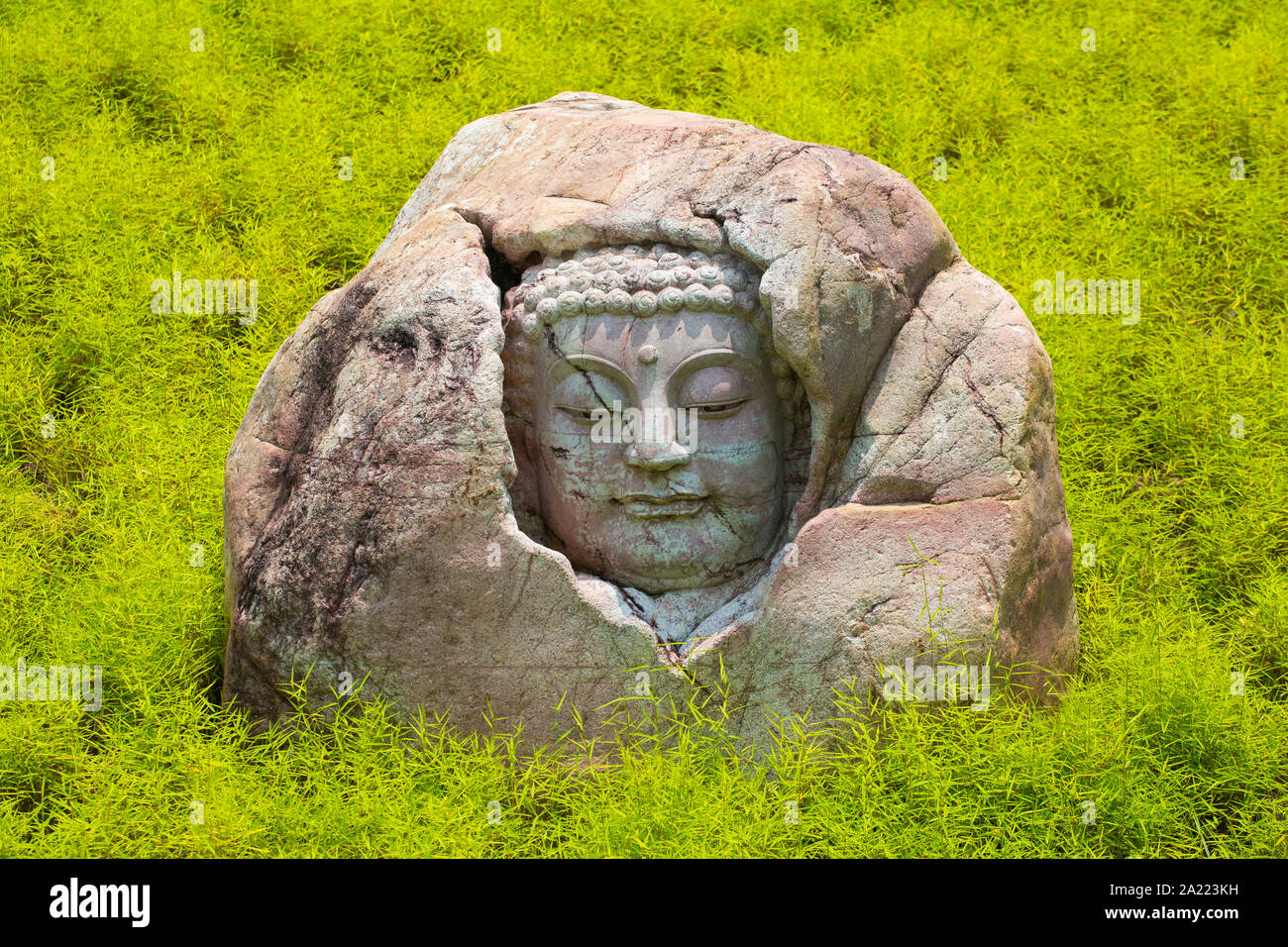 Steinkopf eines Buddha, der auf einen Felsbrocken geschnitzt wurde, umgeben von Grünpflanzen im Hintergrund. Stockfoto