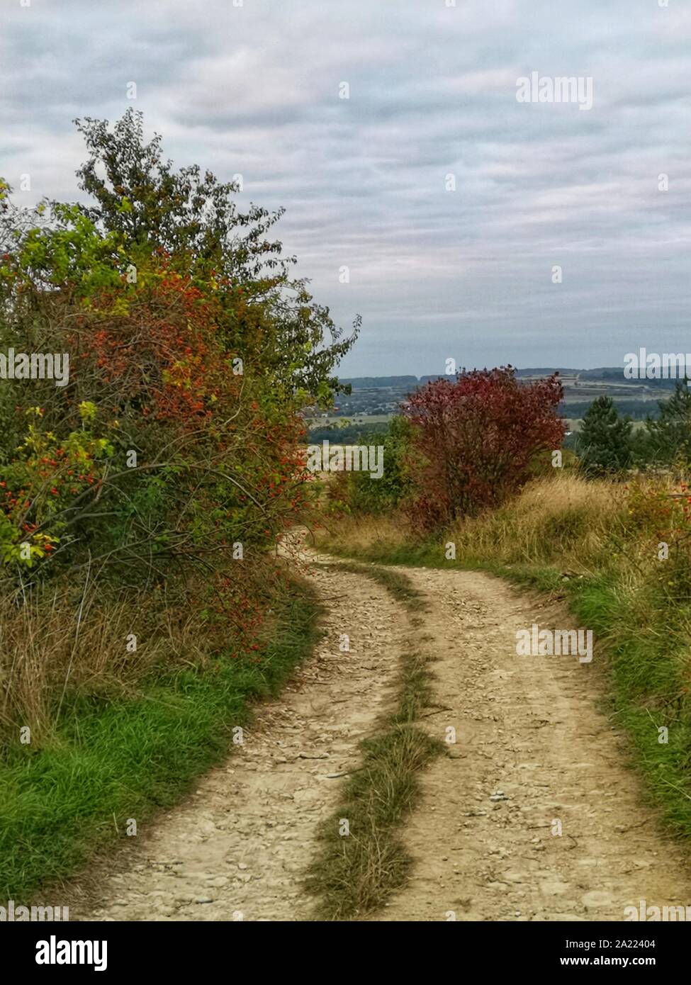 Land straße, die zu dem weiten Tal Stockfoto