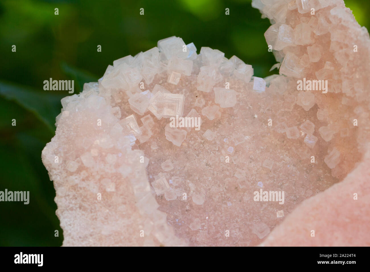 Mineralisches Exemplar Steinquarz Stockfoto