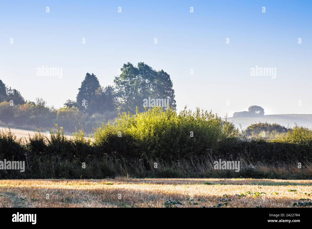 Der Blick Richtung Liddington Hill in der Nähe von Swindon, Wiltshire auf einem frühen Herbstmorgen. Stockfoto