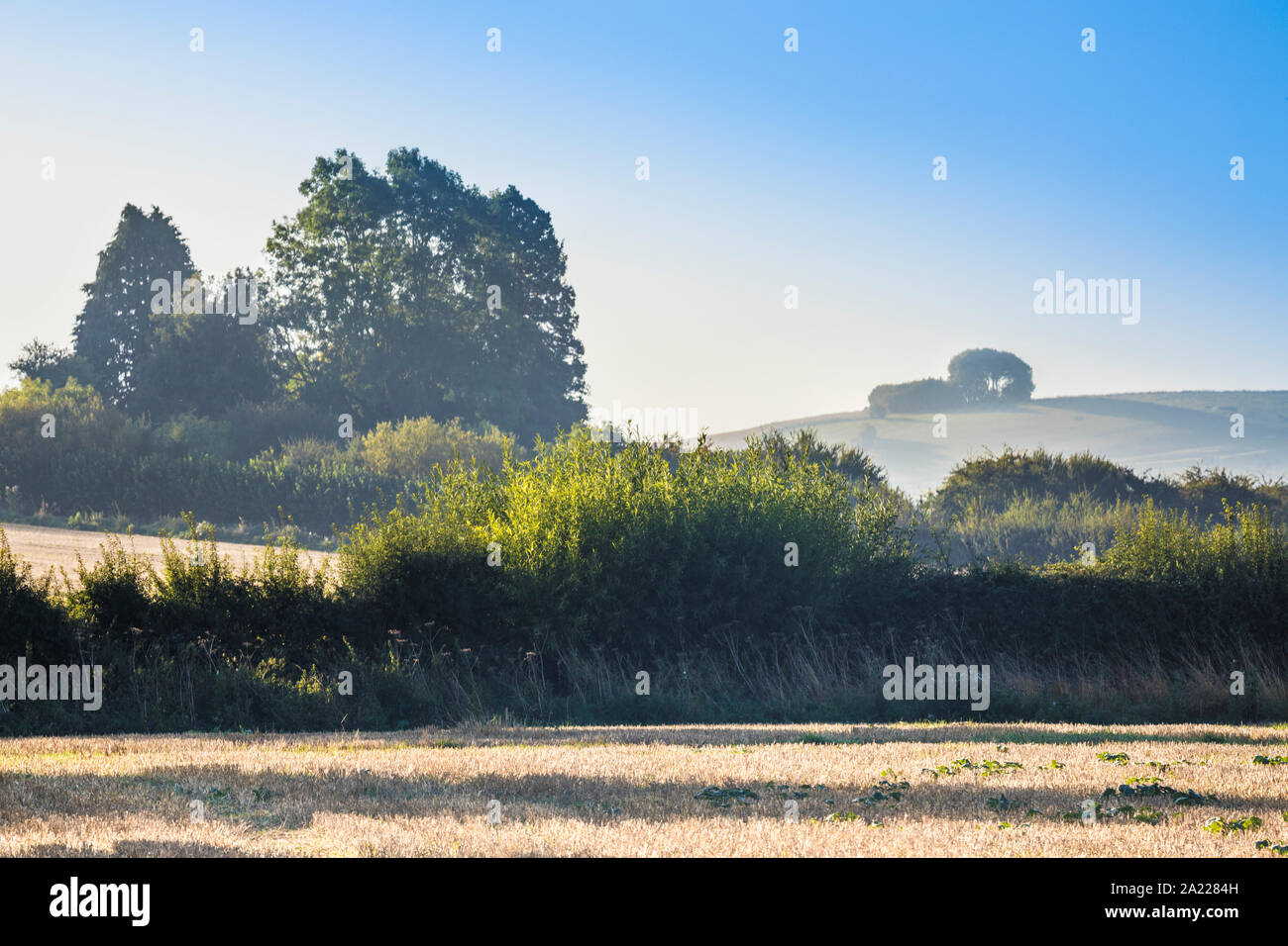Der Blick Richtung Liddington Hill in der Nähe von Swindon, Wiltshire auf einem frühen Herbstmorgen. Stockfoto