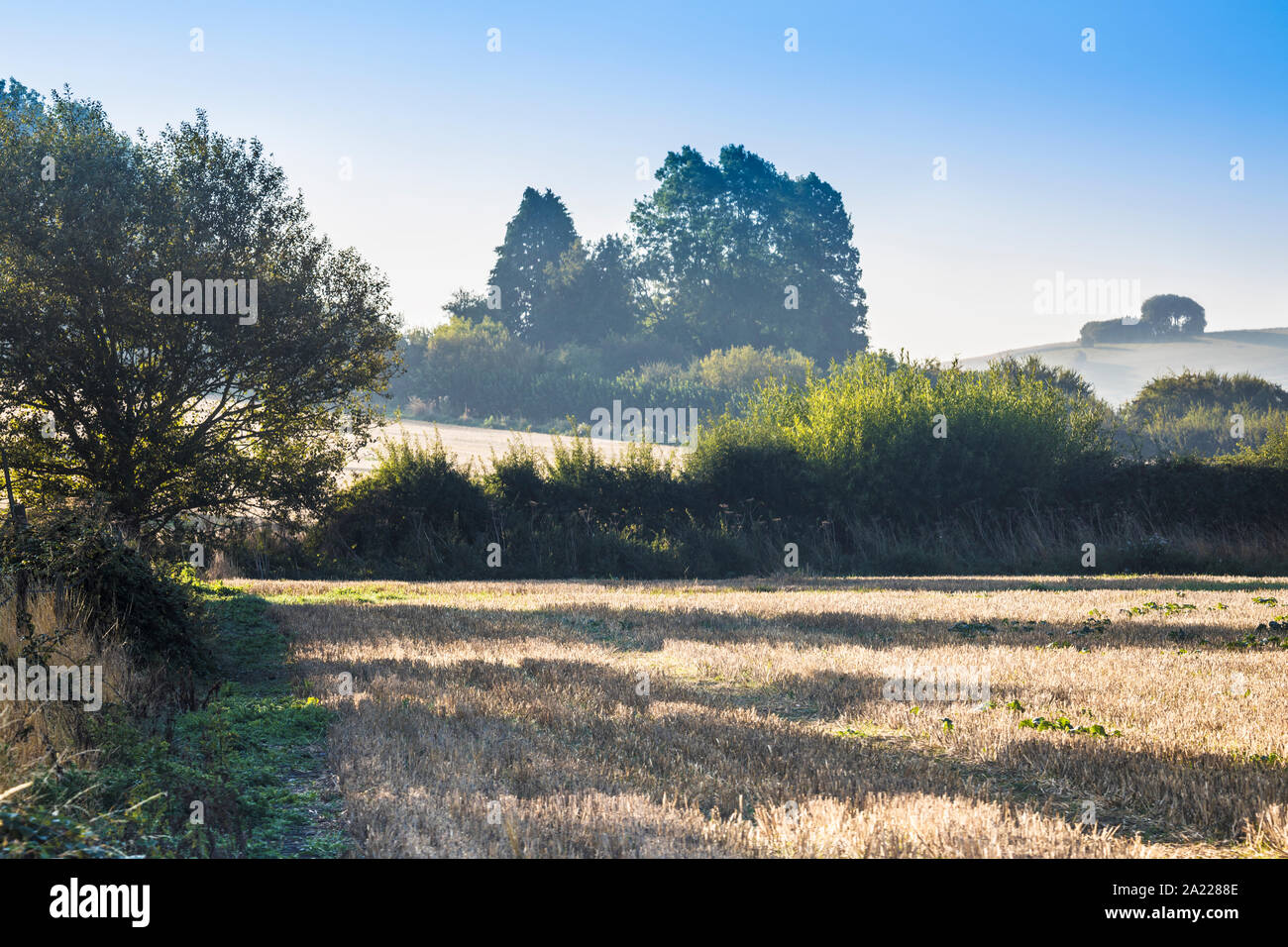 Der Blick Richtung Liddington Hill in der Nähe von Swindon, Wiltshire auf einem frühen Herbstmorgen. Stockfoto