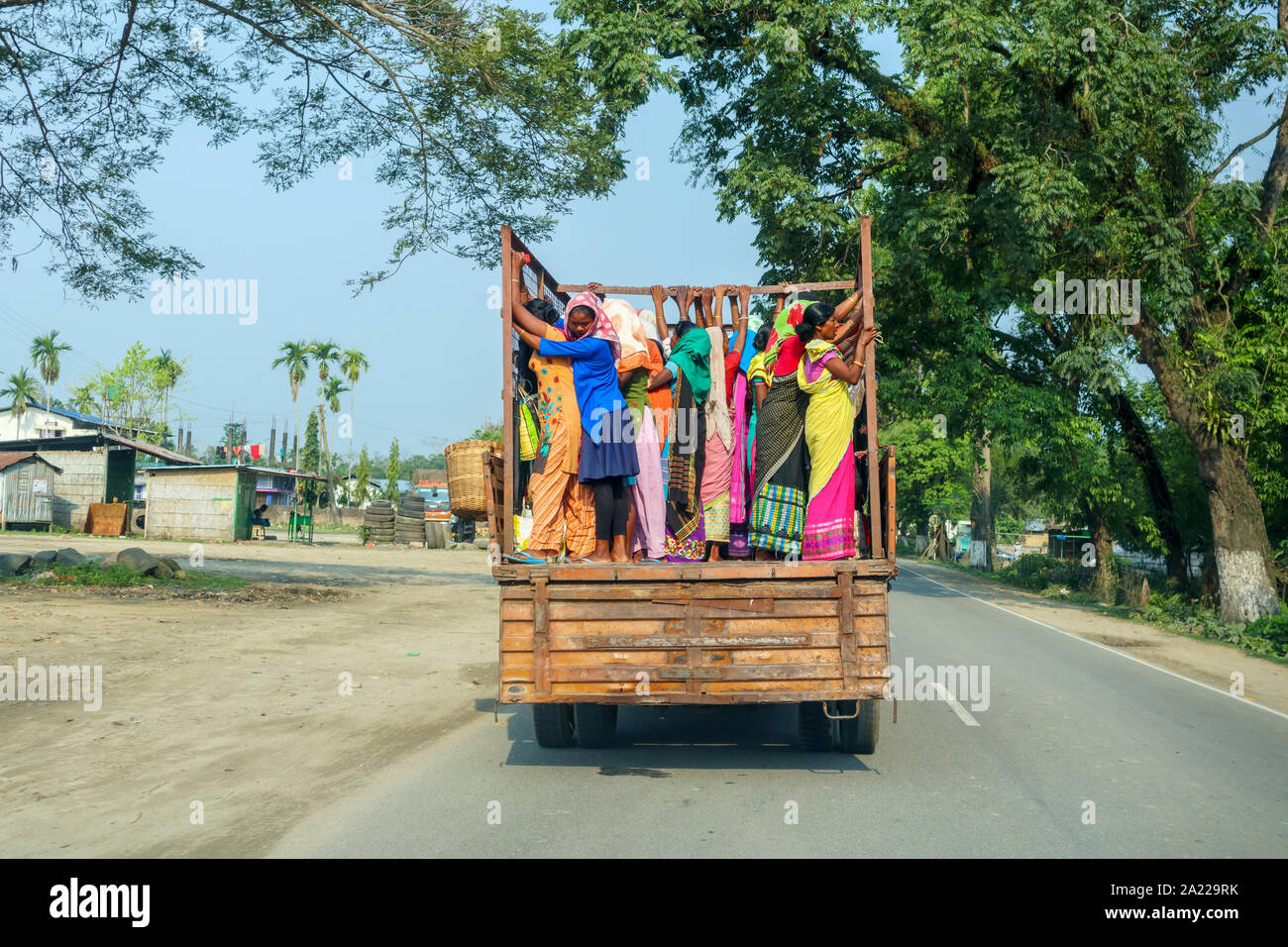 Frauen in bunten lokalen Kleid und Saris stand in der Rückseite eines LKW auf einer Straße in der Nähe der Kaziranga, Golaghat Bezirk, Bochagaon, Assam, Indien Stockfoto
