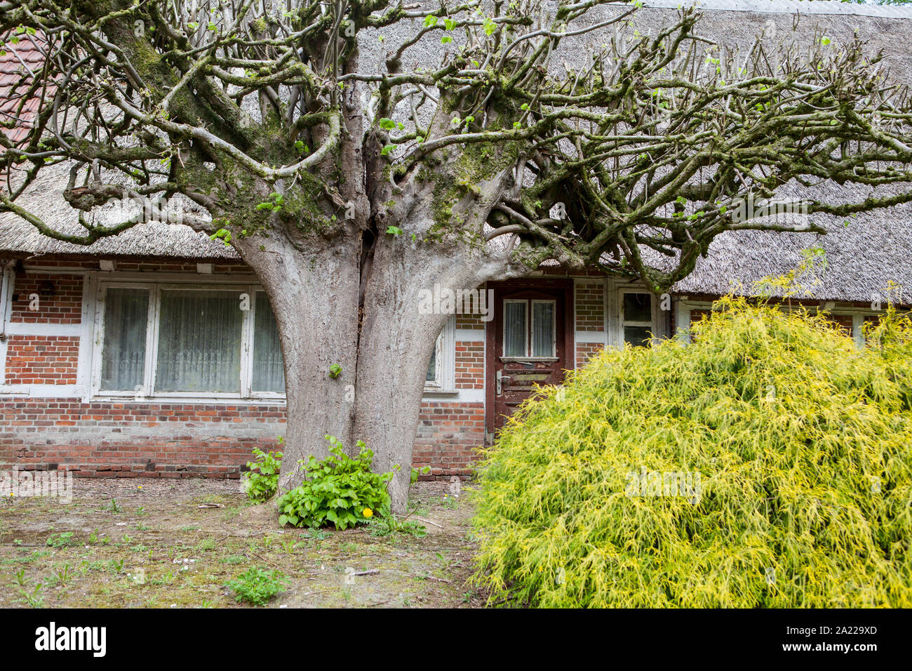 Altes Fachwerkhaus, in Deutschland, in Europa Stockfoto