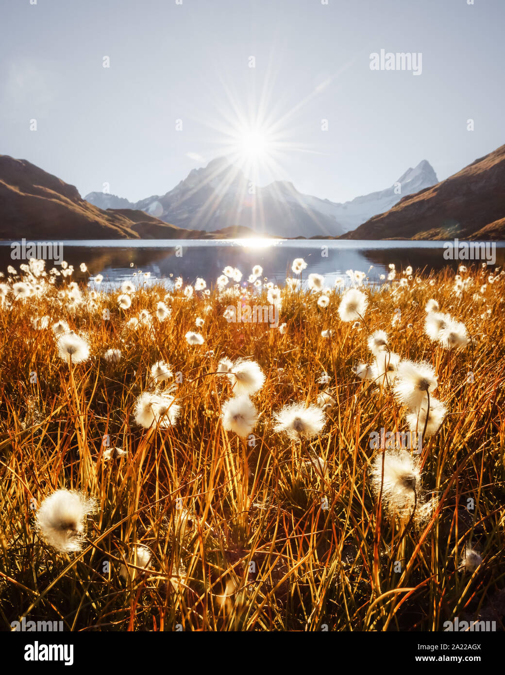 Malerischer Blick auf den See Bachalpsee in den Schweizer Alpen. Tal von Grindelwald, Schweiz. Landschaftsfotografie Stockfoto