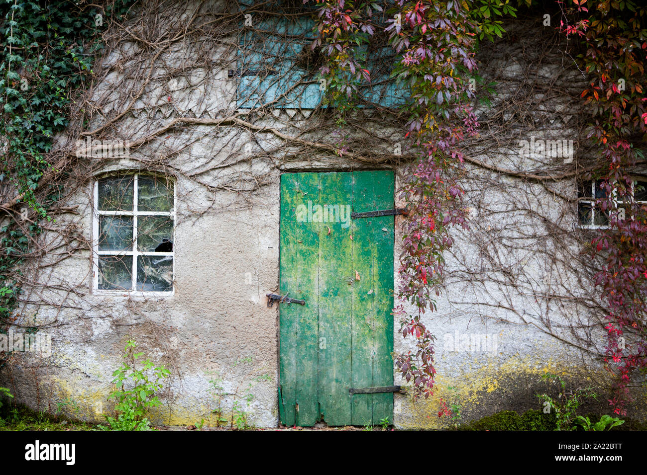 Alte überwucherte Hütte, Deutschland, Europa Stockfoto