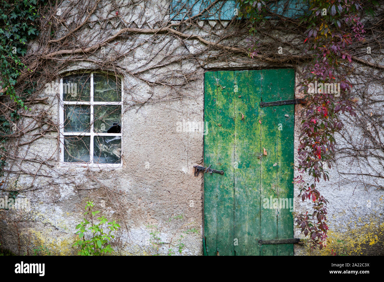 Alte überwucherte Hütte, Deutschland, Europa Stockfoto