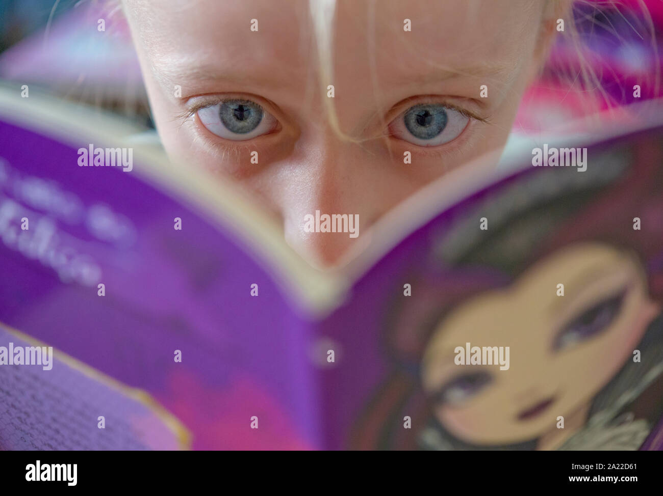 Kleines Mädchen mit großen grünen Augen Lesung für Kinder Buch konzentriert Stockfoto