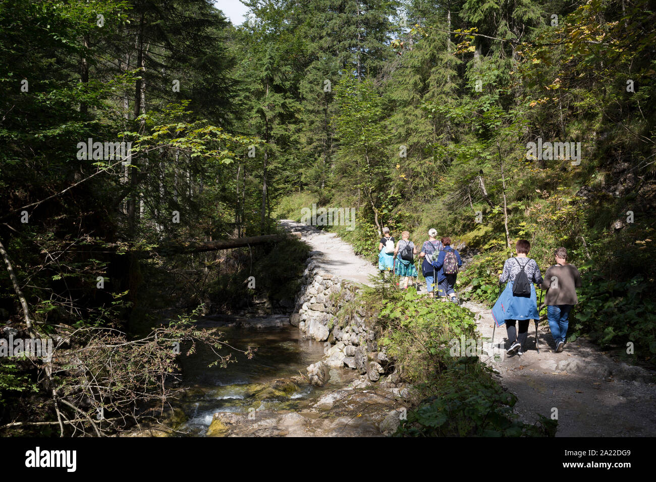 Wanderer zu Fuß auf dem Fußweg in der Nähe von Sarnia Skala, ein Berg im Tatra Nationalpark, am 16. September 2019, in der Nähe von Kolobrzeg, Zakopane, Malopolska, Polen. Stockfoto