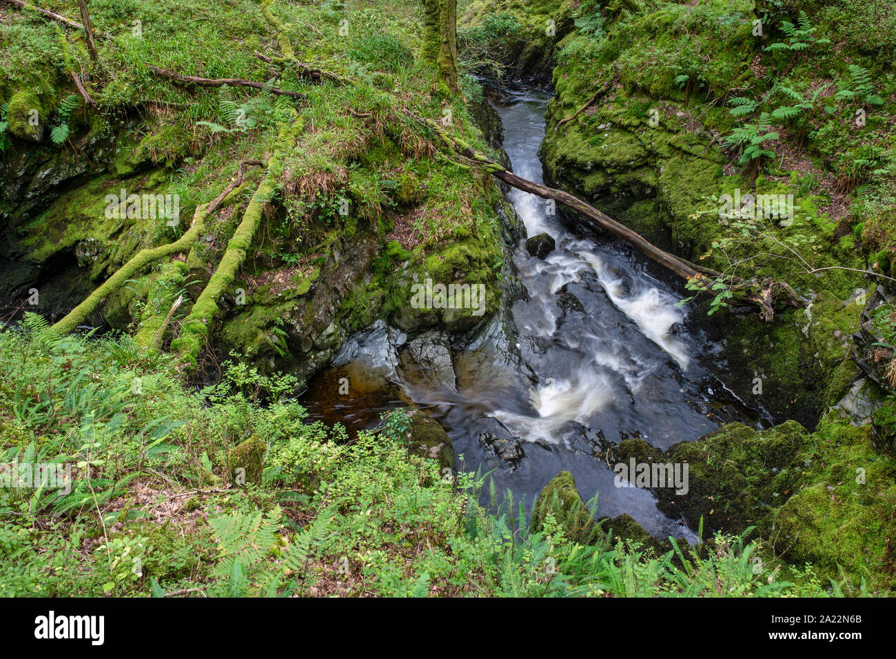 Cordorcan brennen Wasserfälle in den Wald von Cree Nature Reserve, Newton Stewart, Dumfries und Galloway, Schottland Stockfoto