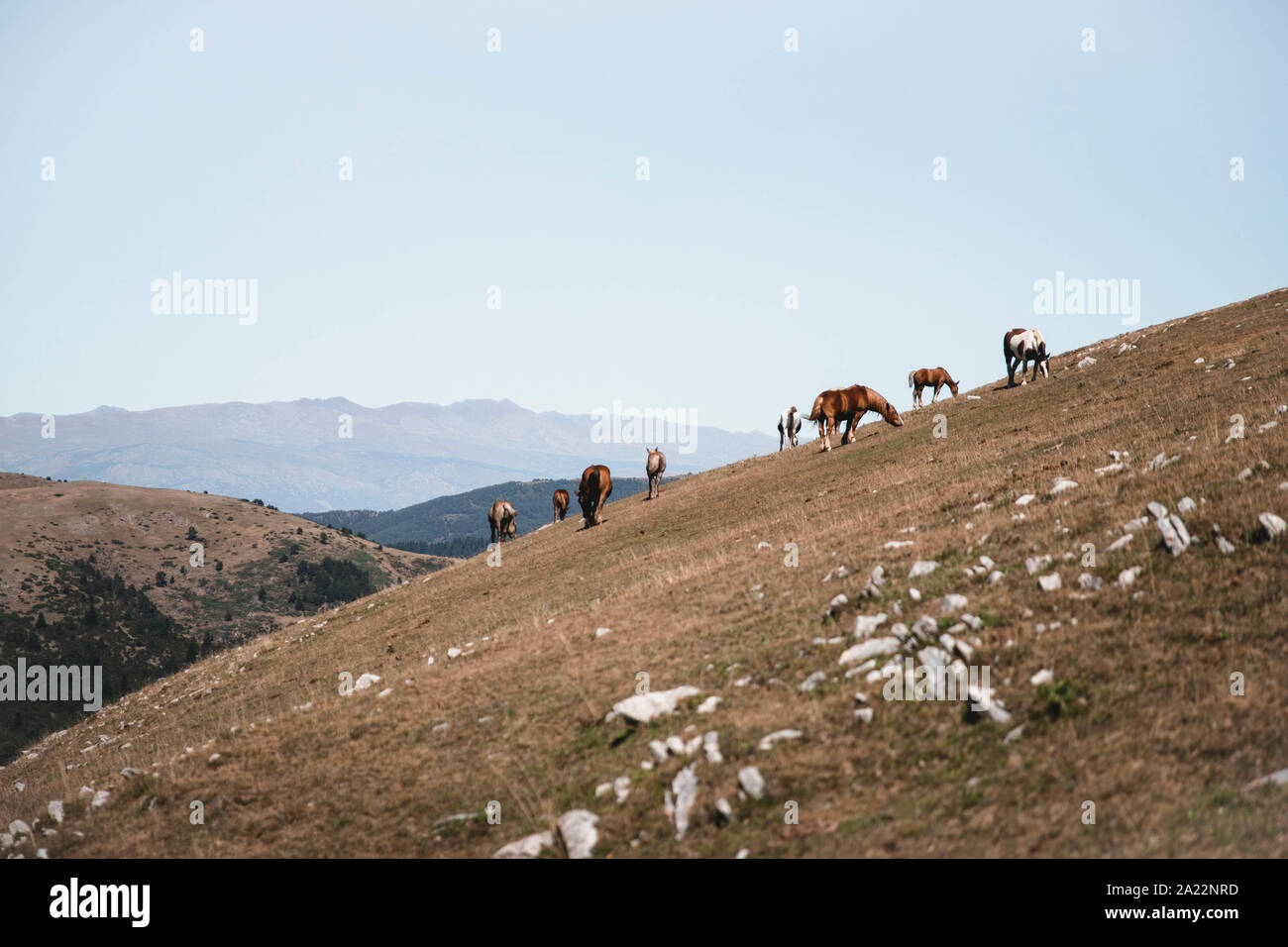 Montañas y Soledad Stockfoto