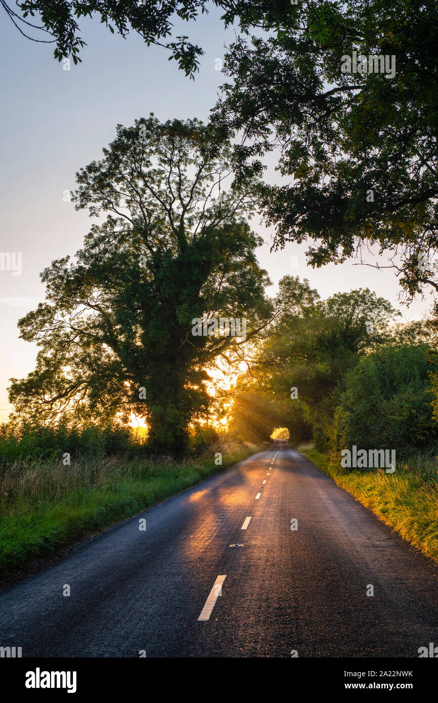 Sonnenuntergang Licht durch Bäume entlang einer Landstraße am Abend in der Nähe von Stow auf der Welt. Verstauen auf der Wold, Cotswolds, Gloucestershire, England Stockfoto