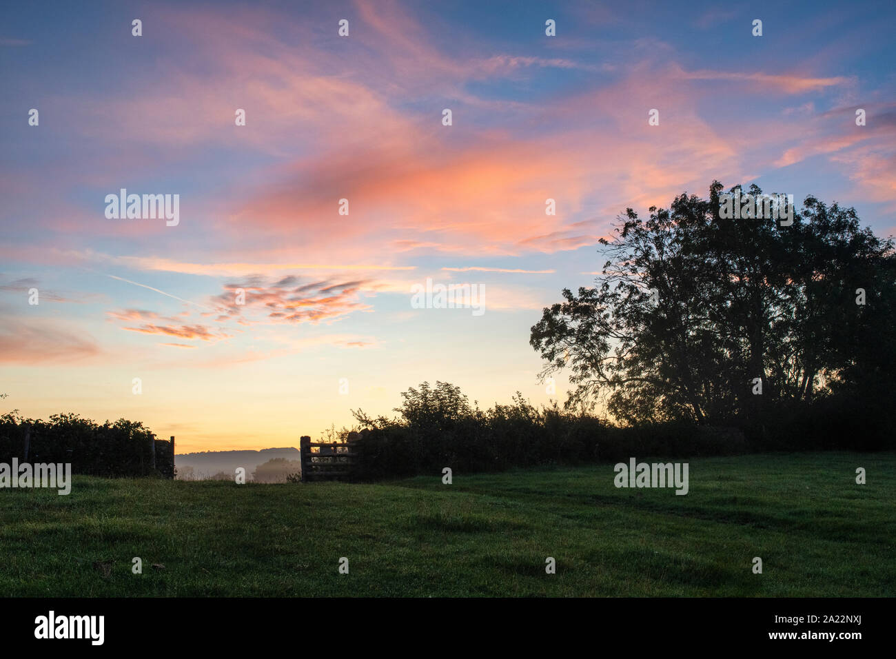 Sunrise Licht über das Naturschutzgebiet in Bourton auf dem Wasser, Cotswolds, Gloucestershire, England Stockfoto