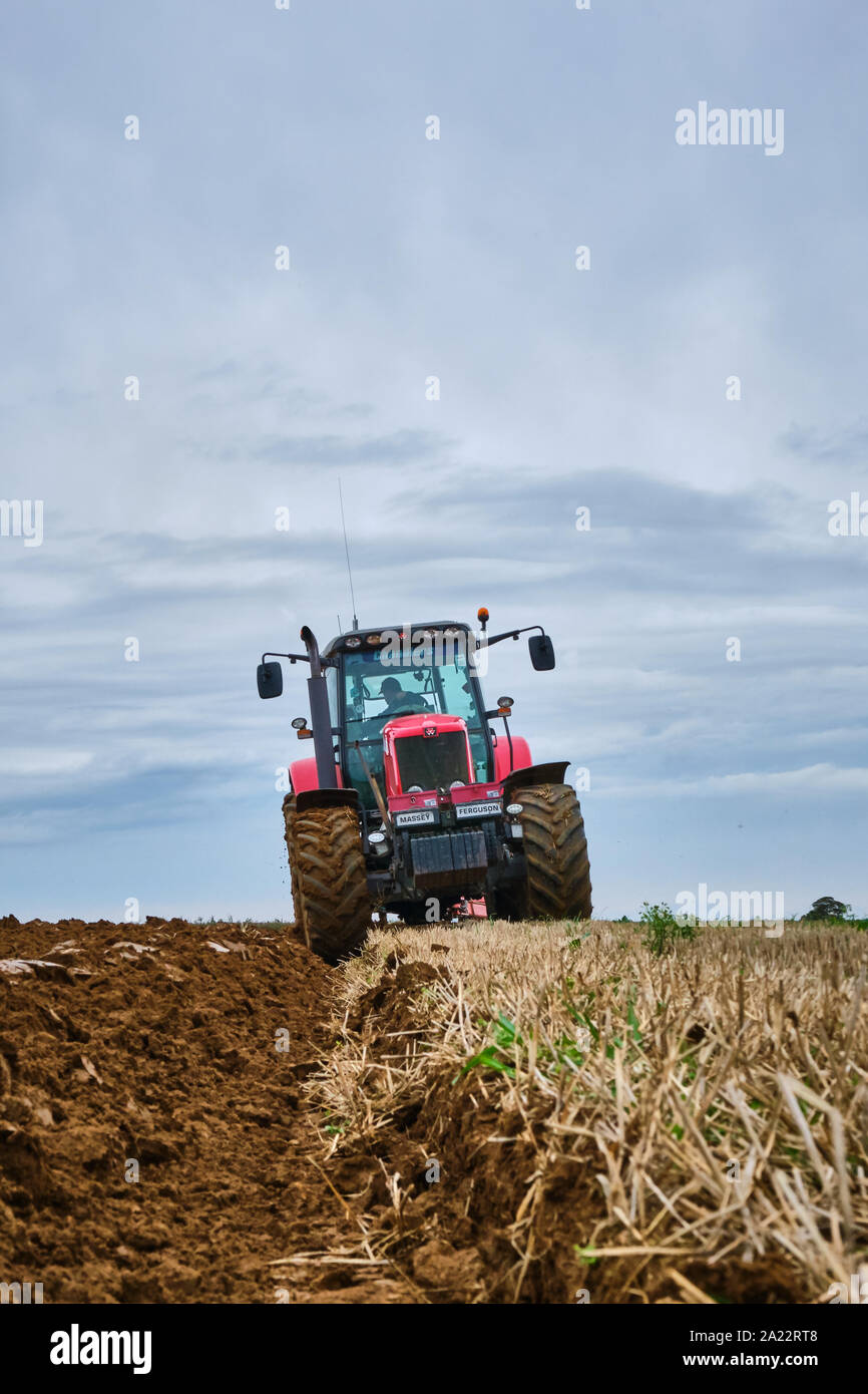Red Massey Ferguson 6490 Traktor pflügen ein Feld aus einem niedrigen Winkel in der Furche mit dem Traktor fahren in Richtung der Kamera Stockfoto