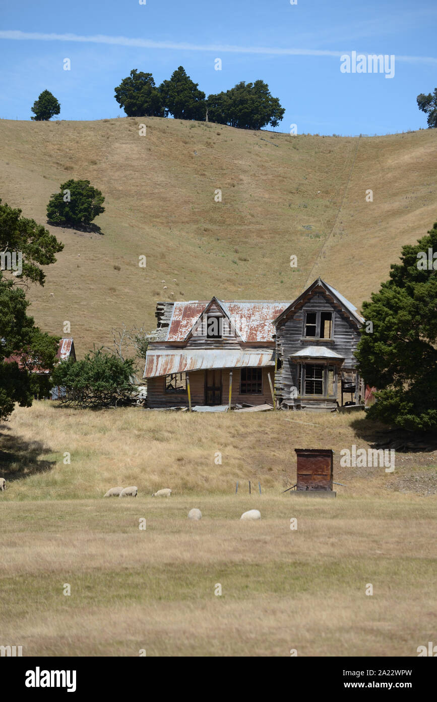 Eine verlassene Farm Homestead liegt unter großen Bäumen auf einem Hügel in Neuseeland Stockfoto