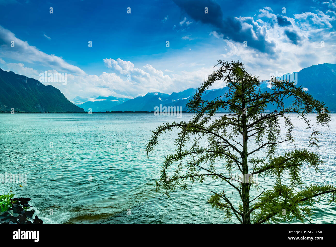 Landschaft, der See, die Berge, bewölkt dark sky und alten Baum am Ufer, selektiver Fokus. Blick auf den Genfer See. Stockfoto