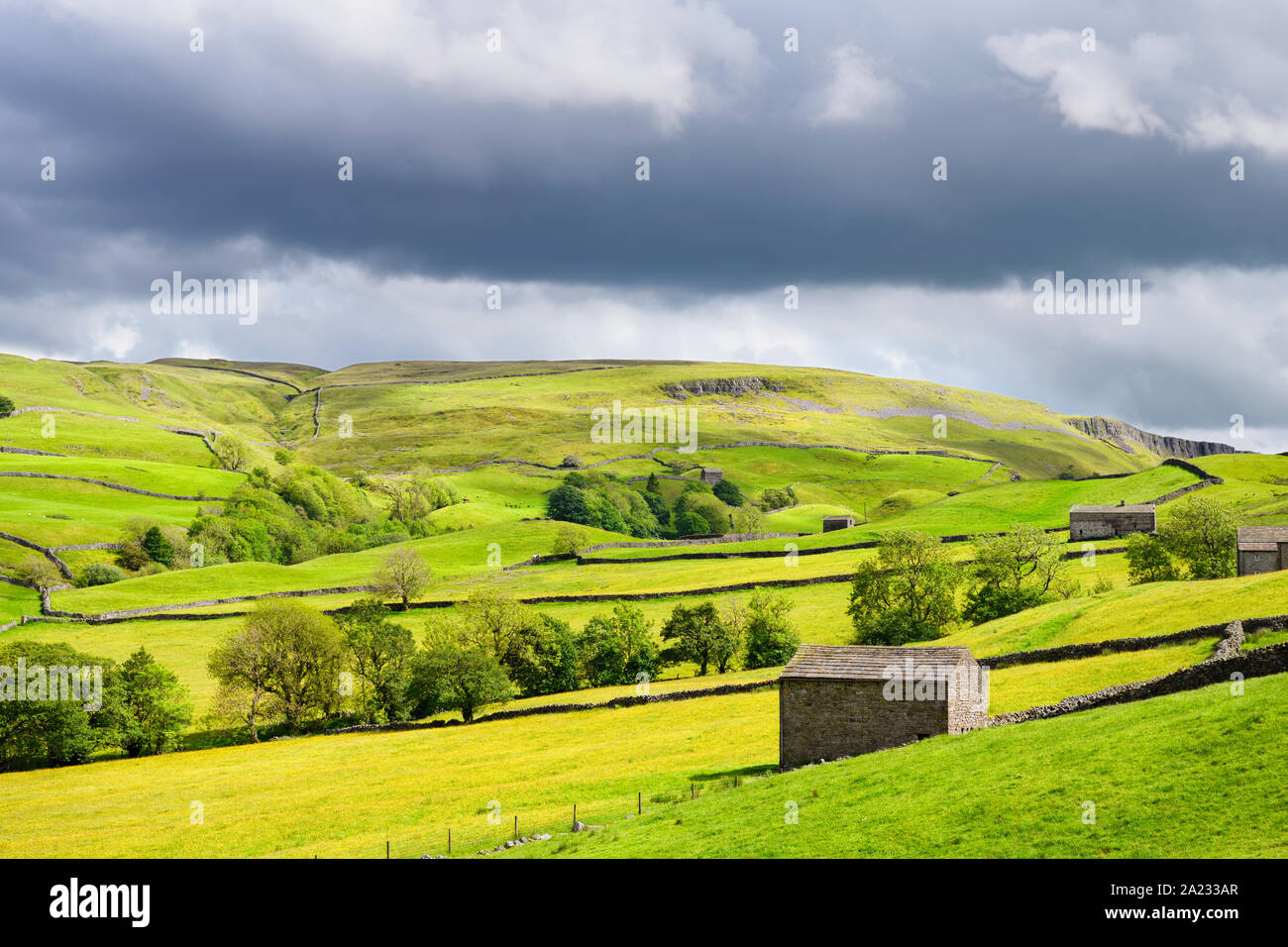 Helle Sonne mit dunklen Wolken über swaledale Trockenmauern und Scheunen in der Nähe der hohen Oxnop Halle Gunnerside Richmond England Stockfoto