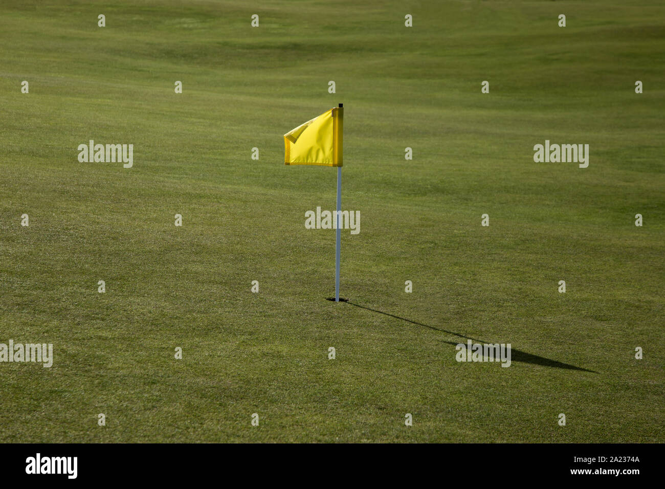 Gelbe Markierung Markierung auf einem Golfplatz Stockfoto