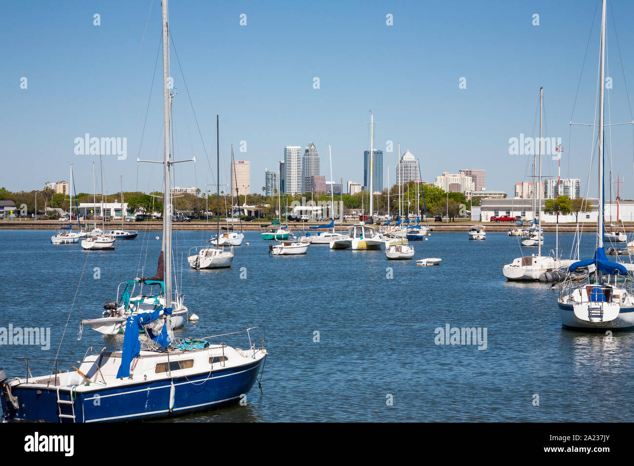 Davis Island Yachtclub, Tampa Florida Stockfoto