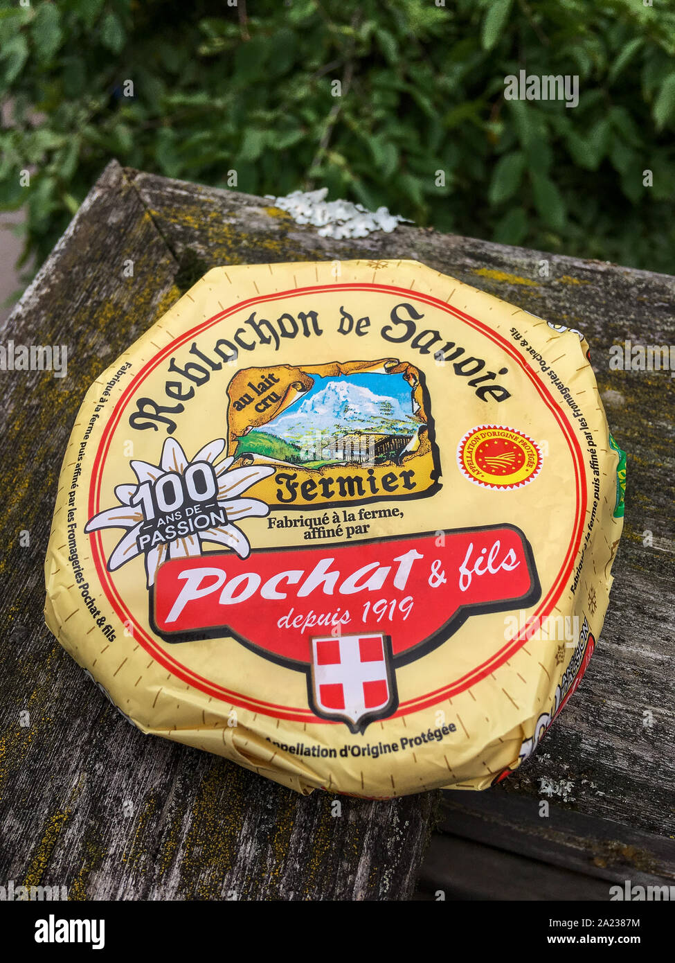 Ein Reblochon, französischer Käse in der Haute-Savoie, Chamonix, Frankreich. Stockfoto