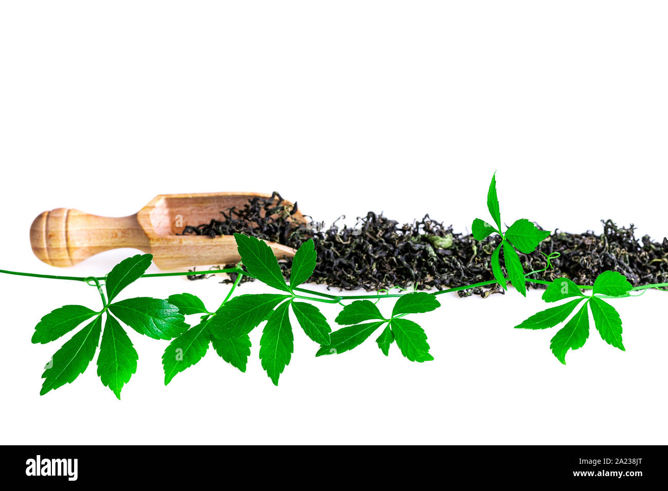 Wunder Gras Jiaogulan frische Blätter mit getrockneten Kraut isoliert auf weißem Stockfoto