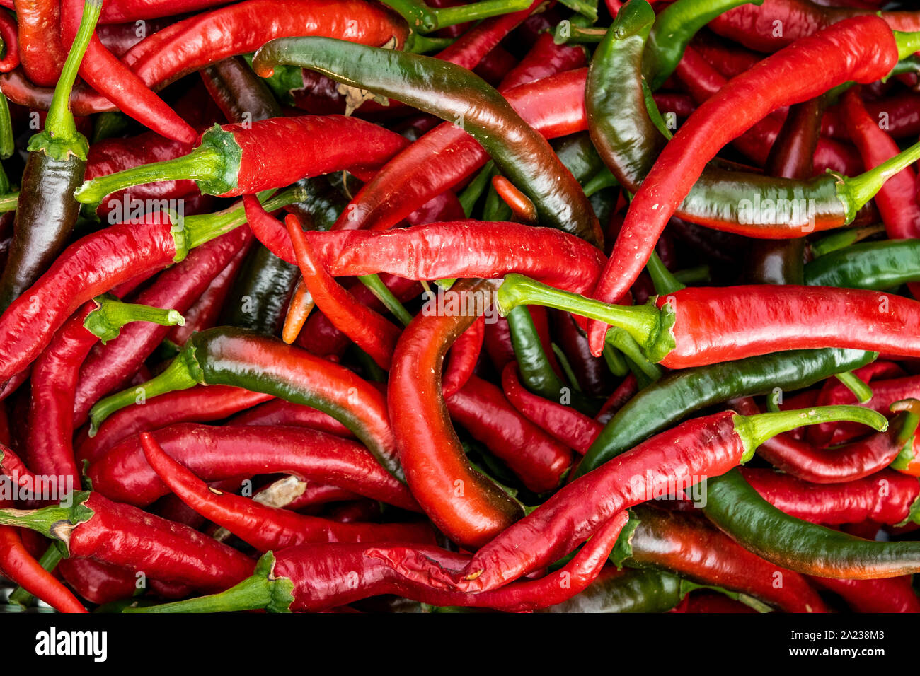 Nahaufnahme Hintergrund. Gruppe der rote Chilis für den Verkauf in den Bio-markt von León. Spanien Stockfoto