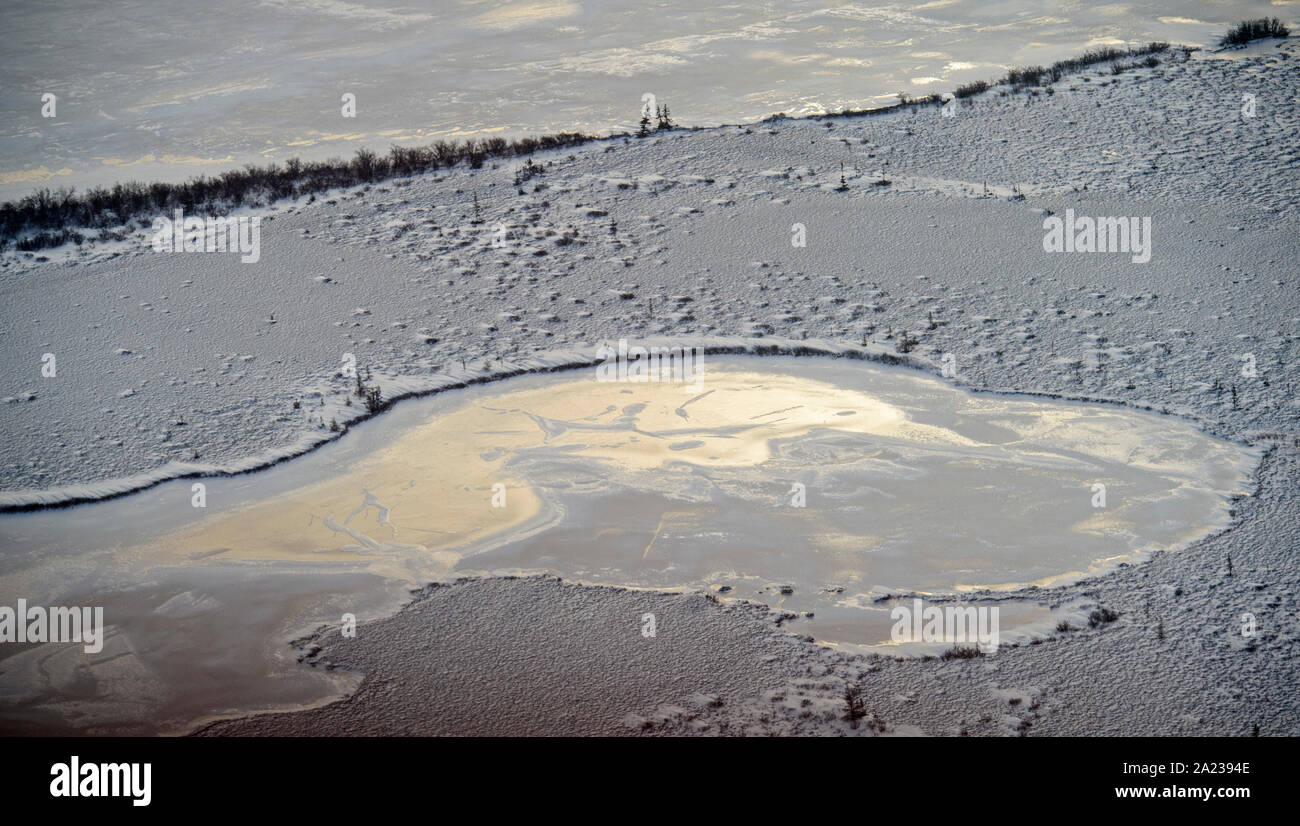 Hudson Bay Tiefland bei Frost-up aus der Luft. Boreal Trees and Ponds, Churchill, Manitoba, Kanada Stockfoto