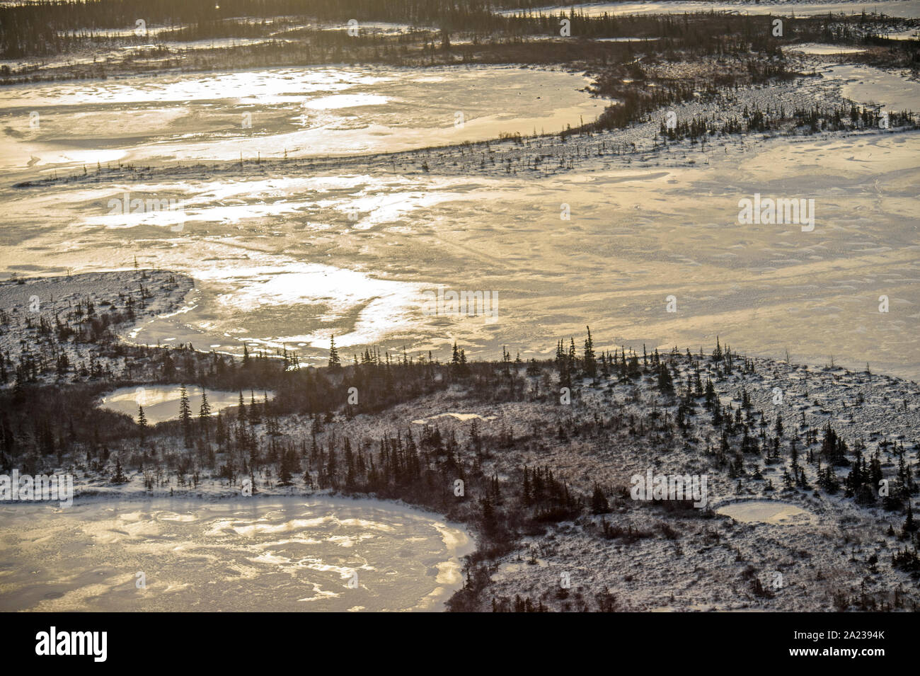Hudson Bay Tiefland bei Frost-up aus der Luft. Boreal Trees and Ponds, Churchill, Manitoba, Kanada Stockfoto