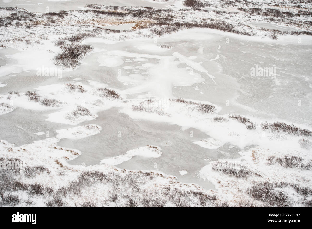 Hudson Bay Tiefland bei Frost-up aus der Luft. Boreal Teiche und Bäume, Churchill, Manitoba, Kanada Stockfoto