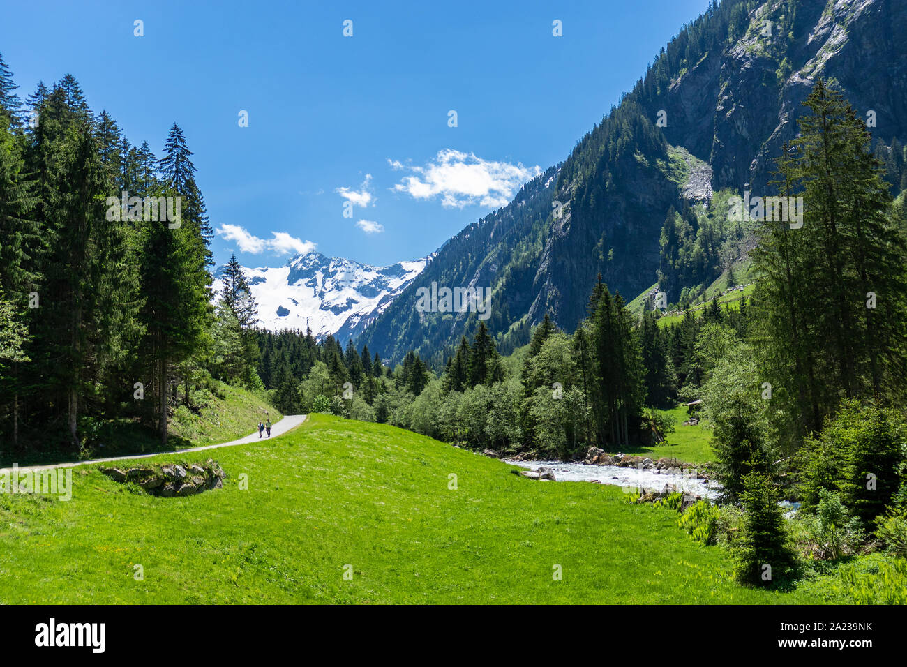 Sommer Alpen Bergwelt auf dem Weg nach Stillup Tal, Österreich, Tirol Stockfoto