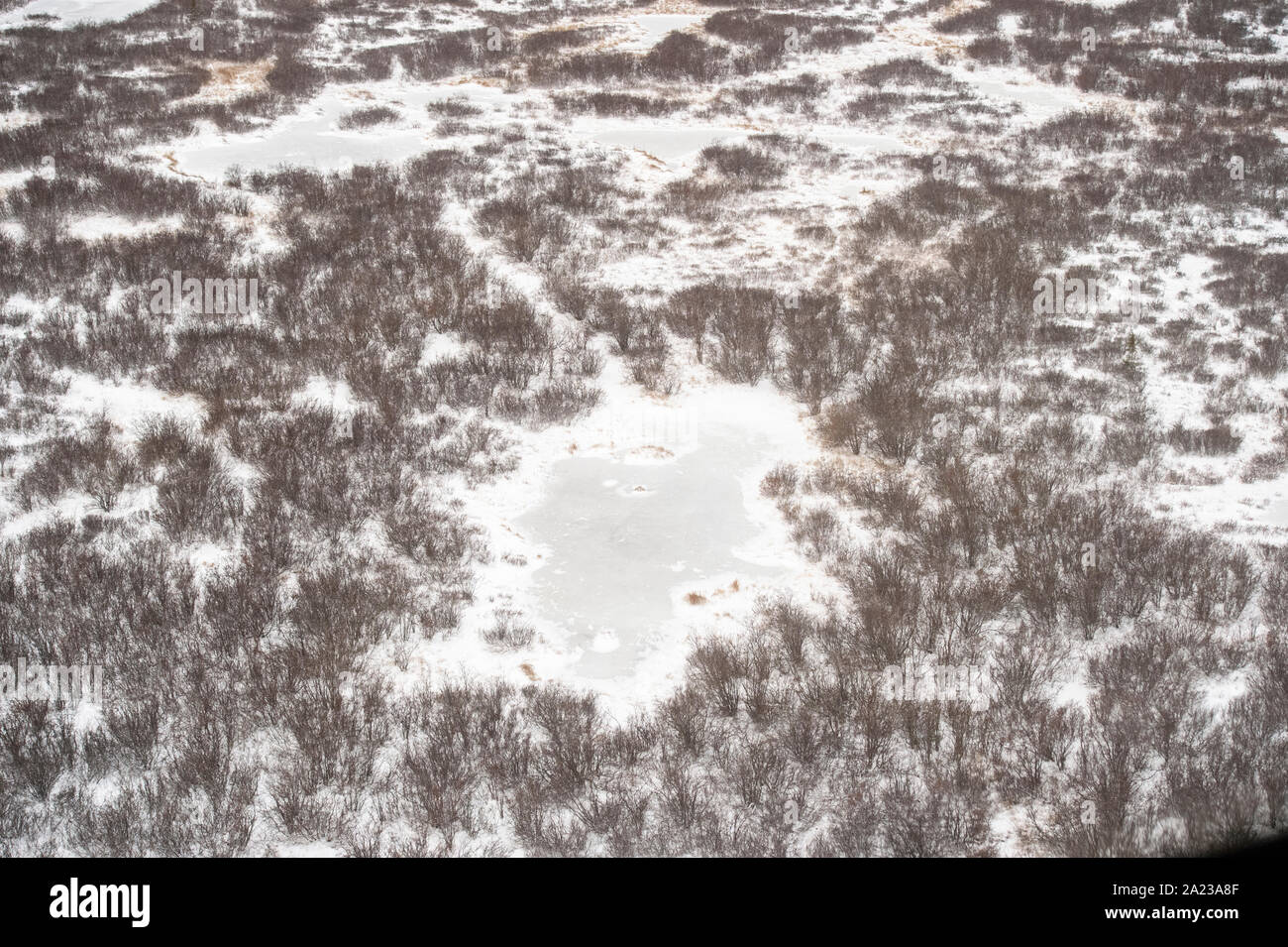Hudson Bay Tiefland bei Frost-up aus der Luft. Boreal Teiche und Bäume, Churchill, Manitoba, Kanada Stockfoto