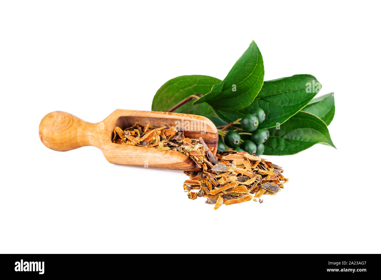 Sanddorn Rinde oder Faulbaum getrocknet Lose Kräutertee auf Weiß Stockfoto