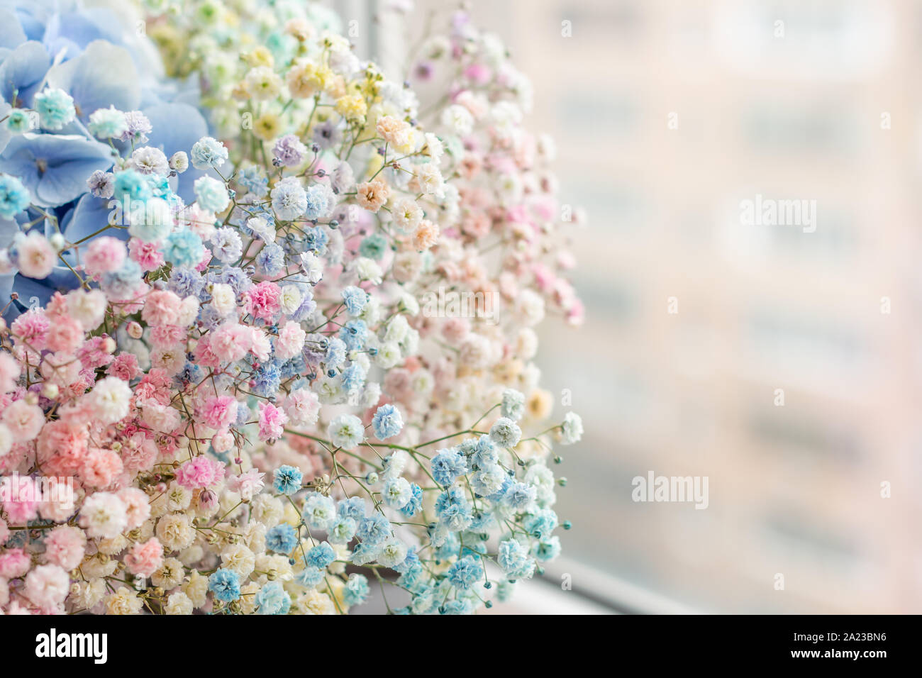 Eine schöne Reihe von bunten kleinen Blüten sitzen an einem Fenster Stockfoto