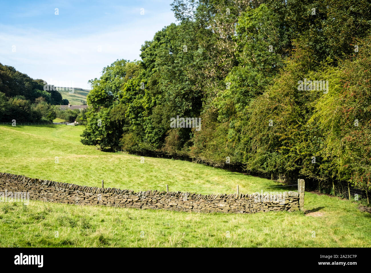 Allgemeine Ansicht, Felder und Bäume in der englischen Landschaft im frühen Herbst, in der Nähe von Hathersage, Derbyshire, Peak District National Park, England, Großbritannien Stockfoto