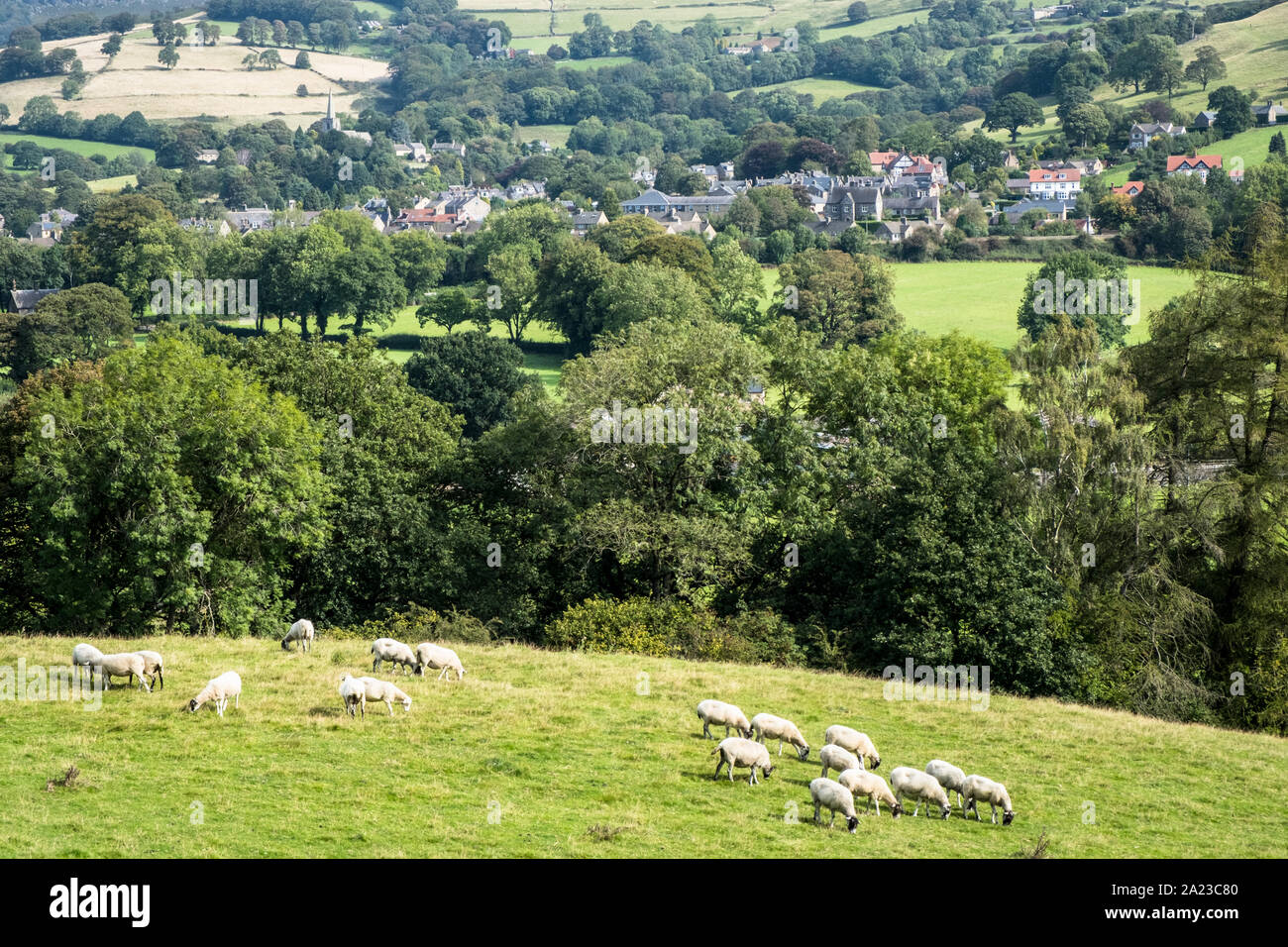 Allgemeine Ansicht der Derbyshire Landschaft mit Schafen in einem Feld und das Dorf Hathersage in der Ferne. Peak District, Derbyshire, England, Großbritannien Stockfoto