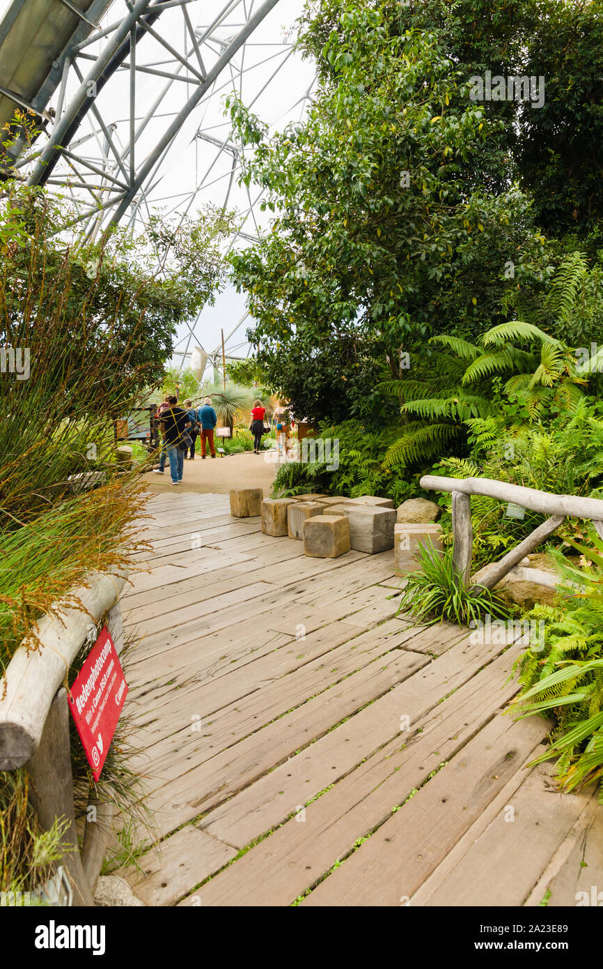 Im Inneren des Eden Project in Cornwall mit Familien und Besucher zu Fuß durch das Mittelmeer biome Ausstellung Stockfoto