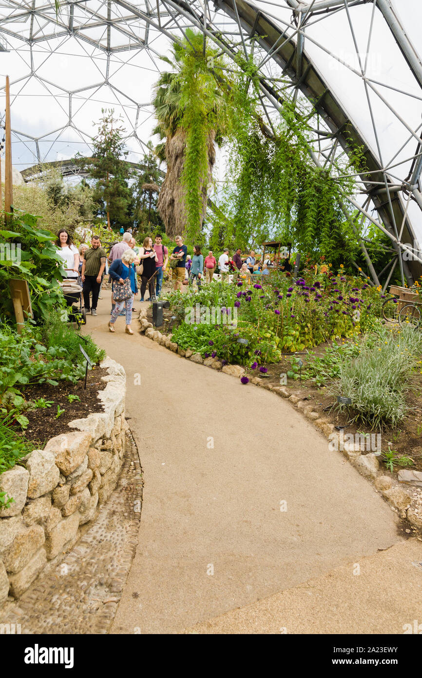 Im Inneren des Eden Project in Cornwall mit Familien und Besucher zu Fuß durch das Mittelmeer biome Ausstellung Stockfoto