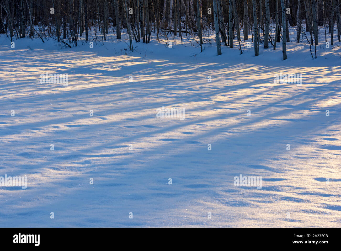 Winter Schatten, Greater Sudbury, Ontario, Kanada Stockfoto