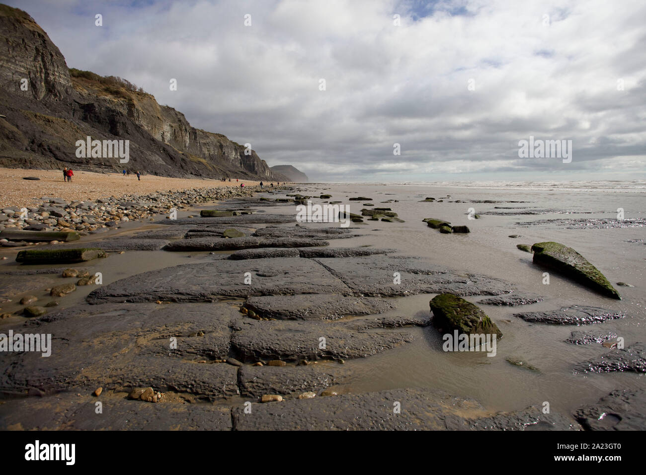 Strand bei Ebbe Charmouth, Dorset England Stockfoto