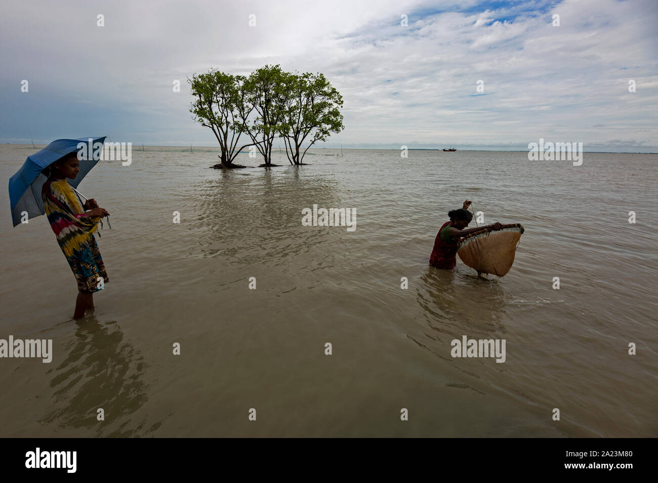 Ghoramara, der Untergang der Insel, 95 km von South Kolkata, Indien in der Sundernban des Golfs von Bengalen, noch verschlimmert. Ghoramara ist auf dem Hooghly Mündung, wo das Salzwasser von der Bucht von Bengalen mischt sich mit Süßwasser aus drei große Flüsse Ganges, Brahmaputra und Meghna. Etwa 8000 Menschen leben auf dieser Insel. Die primäre Tätigkeit der lokalen Bevölkerung bei Ghoramara ist betel und Reisanbau, Fischen und Garnelen Seed-sammlung. Die Kraft von Mutter Natur bei der Gestaltung und Umgestaltung nicht negiert werden. Klimawandel als primäre Schadensursache Faktor mit anderen Gründen Stockfoto