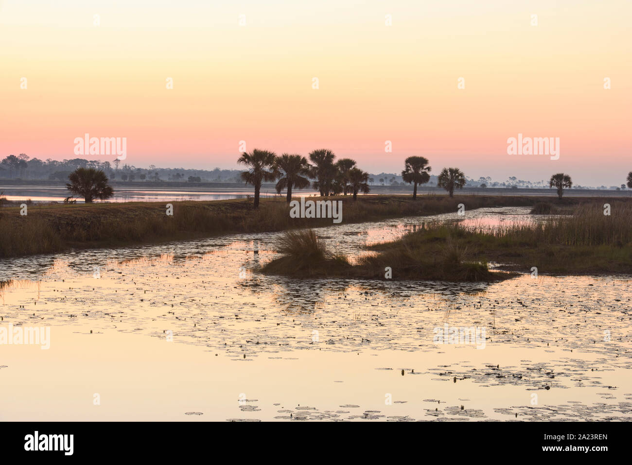 Morgenhimmel über Salzwassersümpfen, St. Marks National Wildlife Refuge, Florida, USA Stockfoto