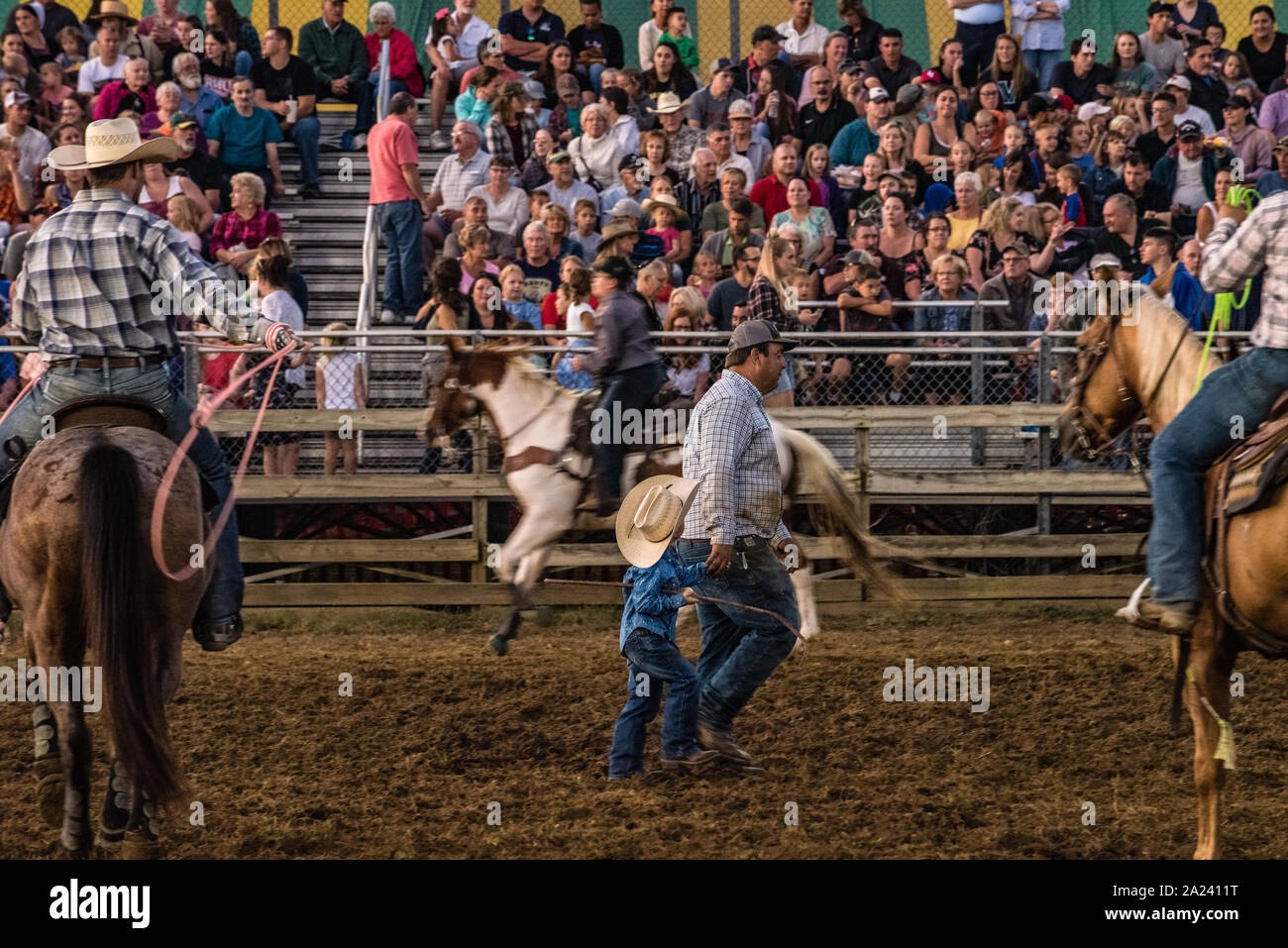 Country Fair Calf Roping Wettbewerb. Stockfoto
