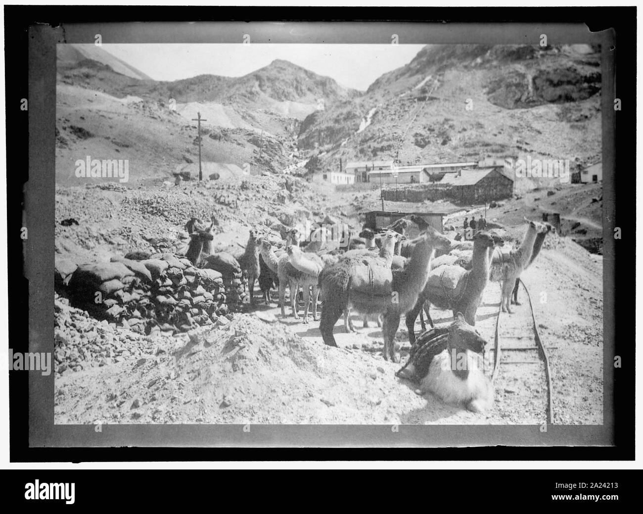 PERU SZENEN Stockfoto