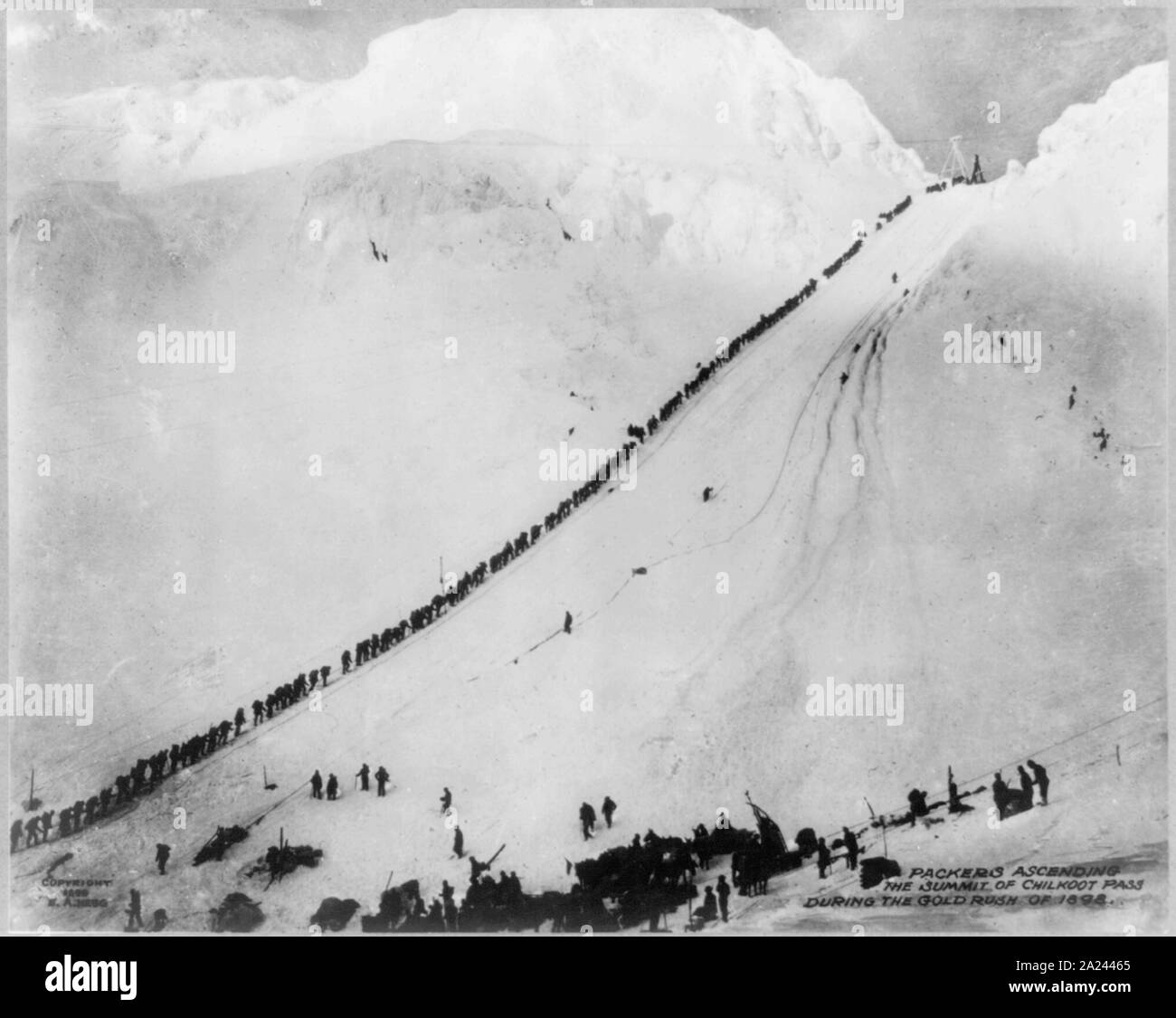 Verpacker aufsteigend den Gipfel des Chilkoot Pass während des Goldrausches von 1898 Stockfoto
