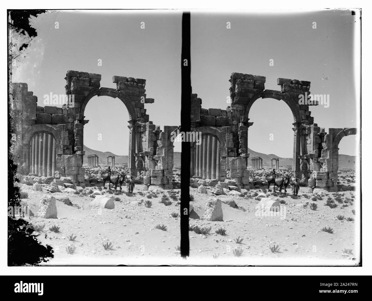 Palmyra Stockfoto