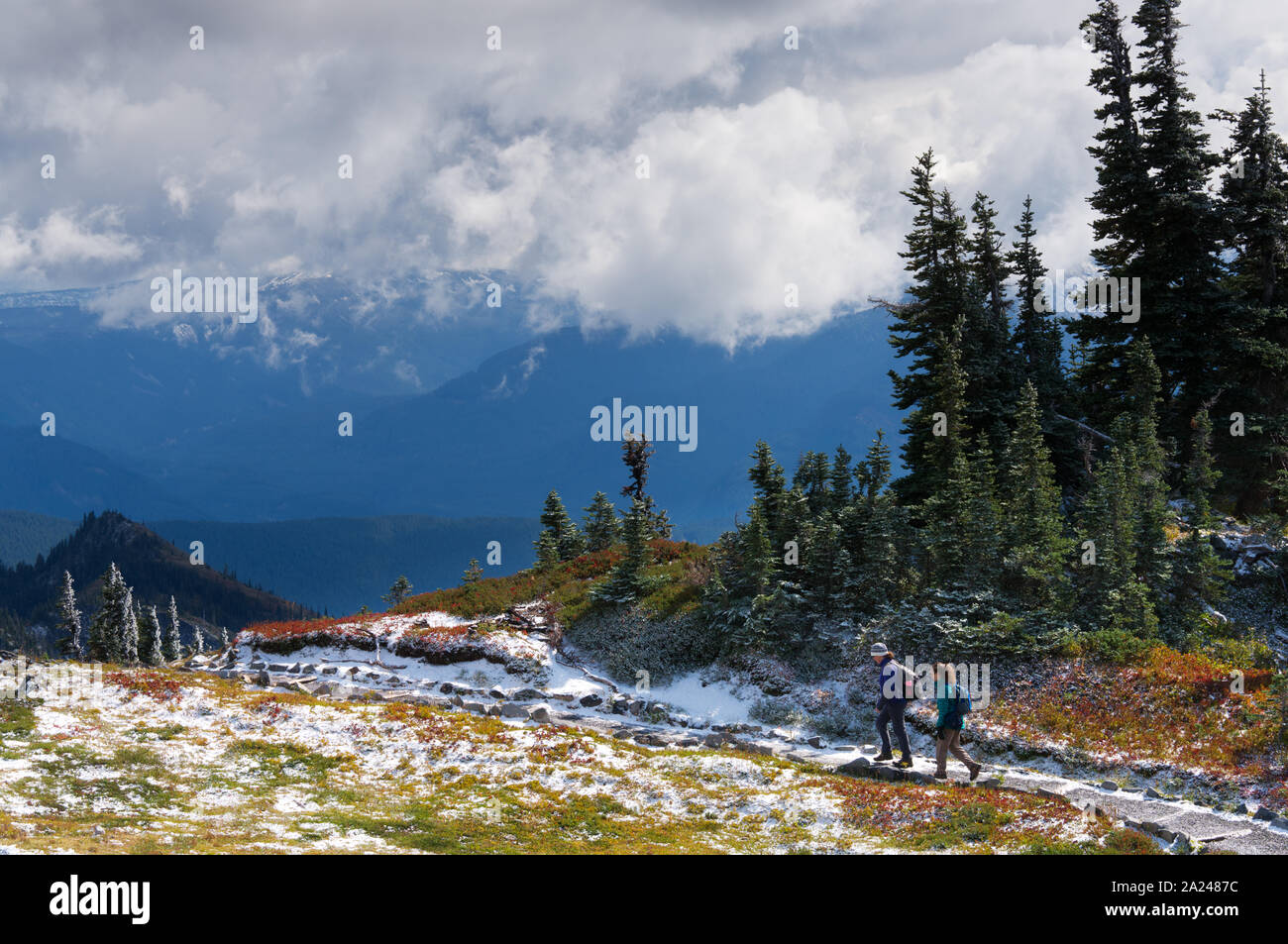 Mutter und Kind Wandern auf den Seen Trail im Herbst, Mazama Ridge, Mount Rainier National Park, Washington State, USA Stockfoto