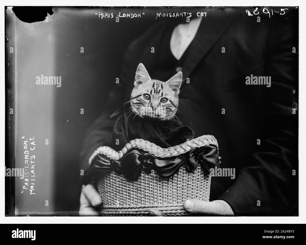 Paris-London Moissant's Cat Stockfoto